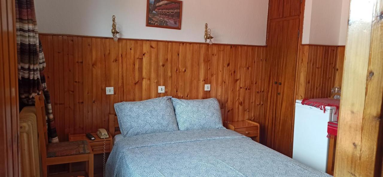 Filoxeni Gonia Apartment Metsovo Exterior photo