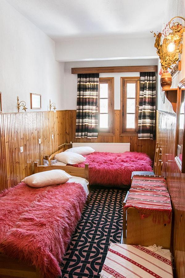 Filoxeni Gonia Apartment Metsovo Exterior photo