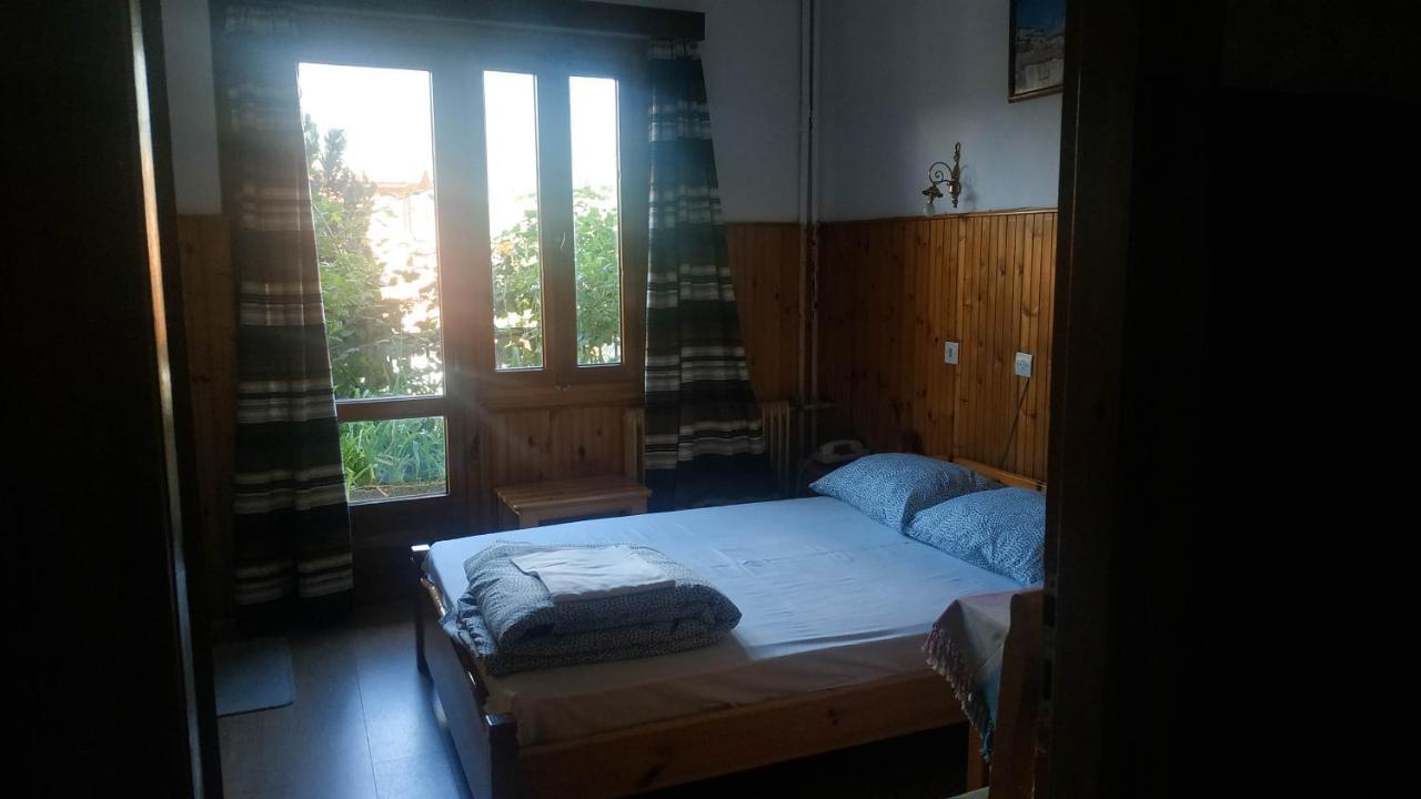 Filoxeni Gonia Apartment Metsovo Exterior photo