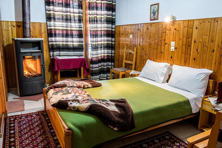 Filoxeni Gonia Apartment Metsovo Exterior photo